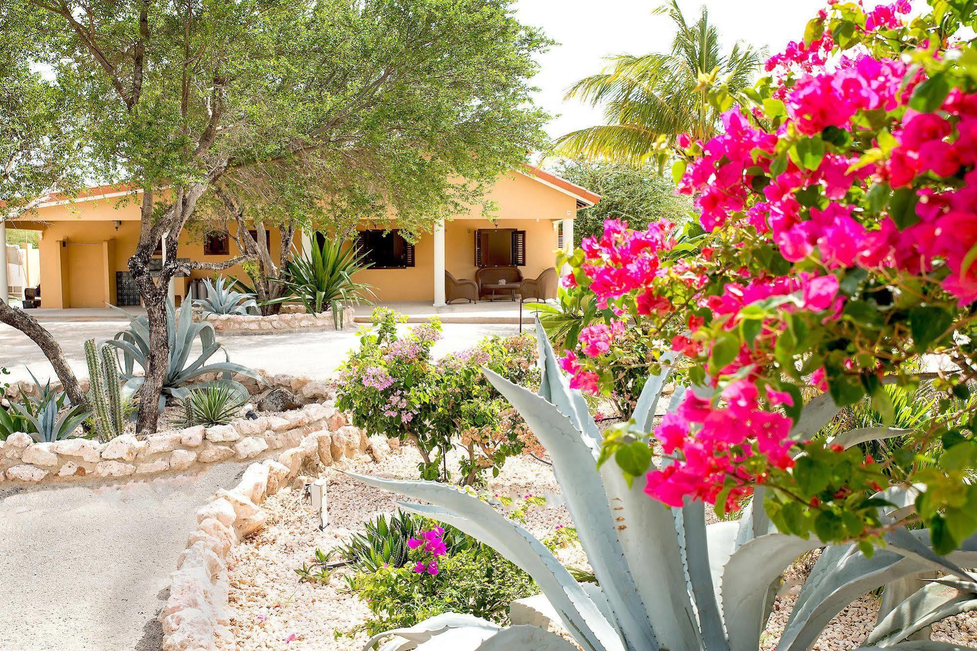 Lagun Blou Dive And Beach Resort Ngoại thất bức ảnh
